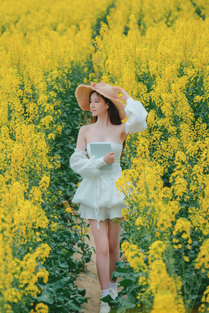 bt伙计国产一区